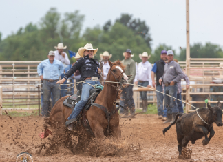 How my teaching has evolved