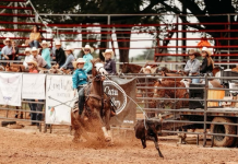 A week on the rodeo trail…