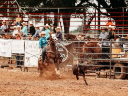 A week on the rodeo trail…