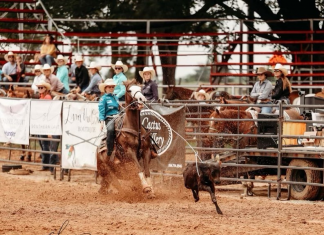 A week on the rodeo trail…