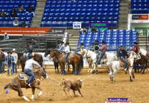Heeling for Gabe at his first pro rodeo