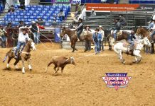 Trying to qualify for the American Rodeo