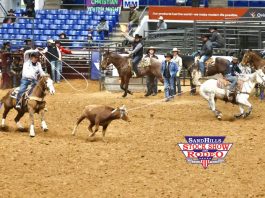 Preparing for the Big Money Runs