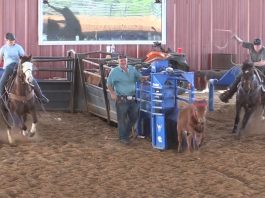 From the Finals to the Practice Pen: USTRC Open and Training with Speed