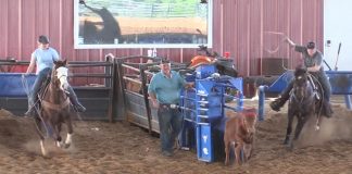 From the Finals to the Practice Pen: USTRC Open and Training with Speed