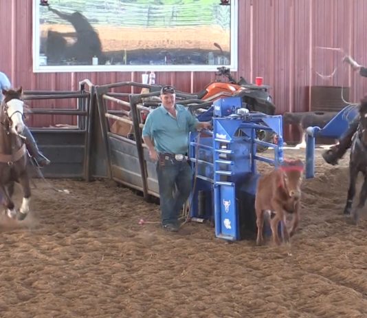 Williams arena updates and my teaching process