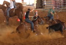 The Ground Gets Harder Every Year