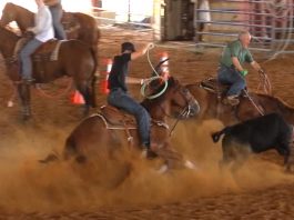 The Ground Gets Harder Every Year