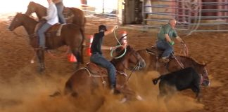 Speed has a Horse Wreck