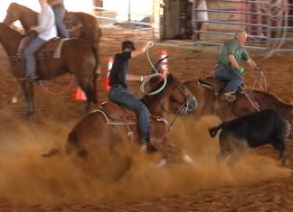 Speed has a Horse Wreck