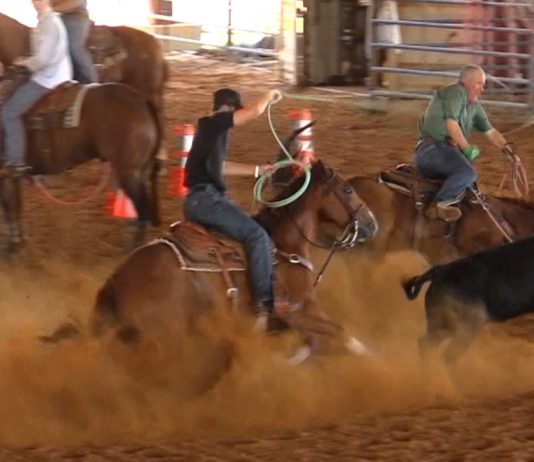 Speed has a Horse Wreck