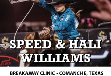 Breaking it Down… with Professionals