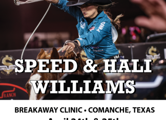 Breaking it Down… with Professionals