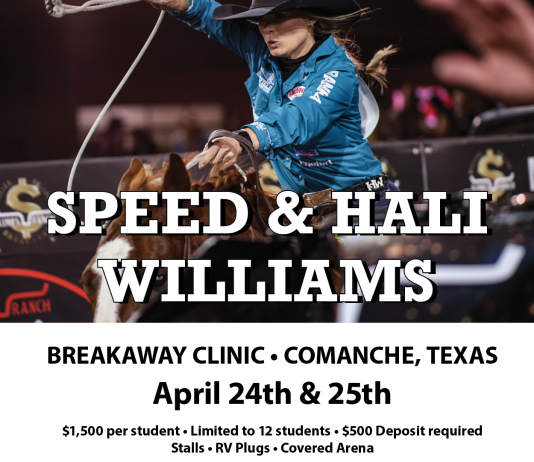 Breaking it Down… with Professionals